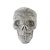 Cranio com Glitter - Tam. Aprox. 10 Cm - Imagem 1