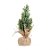 Mini Pinheiro Nevado Verde 17cm - Imagem 1