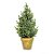Mini Pinheiro Verde e Marrom P 35cm - Imagem 1