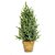 Mini Pinheiro Verde e Marrom M 40cm - Imagem 1