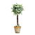 Topiaria Verde e Marrom 45cm - Imagem 1