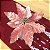Poinsetia Cru e Branco (Flores Cabo Curto) - 1 Un - Imagem 5
