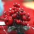 Pick Folhas e Frutas Vermelho e Verde - 1 Un - Imagem 3