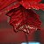 Poinsetia Vermelho e Ouro G - Imagem 3