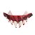 Maquiagem Dente do Terror com Massa Para Fixação - 1 Un - Imagem 2