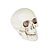 Enfeite Crânios Decorativos Esqueletos 15cm - 6 Un - Imagem 2