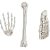 Enfeite Ossos de Esqueleto Decorativo - Kit com 3 Peças - Imagem 1