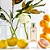 Perfume Deo Colônia Jardin Bergamota Calábria 100ml - Ciclo - Imagem 2