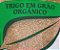 Trigo em Grão Orgânico Paullinia 1kg - Imagem 2