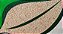 Gergelim Orgânico Paullinia 500g - Imagem 2