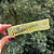 Seda Pay-Pay GoGreen King Size Slim - Imagem 1