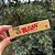 Seda Raw Classic King Size Slim - Imagem 1