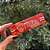 Seda Papelito King Size Extra Large - Imagem 1