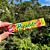 Seda Papelito Tropical Slim King Size (Un.) - Imagem 1