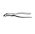 FORCEPS ODONTOLOGICO 18R ADULTO GOLGRAN - Imagem 1