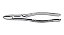FORCEPS ODONTOLOGICO 1 ADULTO GOLGRAN - Imagem 1