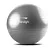 Bola de Exercicios Cinza 75cm Hidrolight - Imagem 1