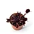 Dionaea muscipula Média - Imagem 11