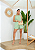 Conjunto Short e Blusinha alça - Imagem 1