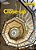 New Close - Up B2+ - Workbook - Imagem 1