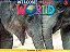 Welcome To Our World American 3 - Activity Book All Caps - Second Edition - Imagem 1
