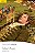 Gulliver's Travels - New Penguin Readers - Level 2 - Book With Audio CD MP3..- - Imagem 1