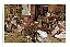 Mandioca: Manihot Utilissima Pohl- 9788578816049 - Imagem 4