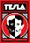 Tesla A Vida E A Loucura Do Gênio Que Iluminou O Mundo..- - Imagem 1