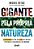 Gigante Pela Própria Natureza Como Lideranças Que Vão Além Do Esg Podem Tornar O Brasil A Superpotência Ecológica Do Mundo..- - Imagem 1