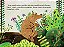 O Urso-Coelho - 9786556880051..- - Imagem 4