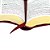 Bíblia Sagrada Letra Grande Com Harpa Cristã - Capa Em Couro Sintético, Vinho Almeida Revista E Corrigida (Arc) Com Letras Vermelhas - Imagem 4