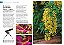 Coleção Fotografe & Natureza: Aprenda A Fotografar Jardins E Plantas (2 Volumes) - Imagem 5