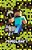 Superpôster Game Master - Minecraft - Imagem 2