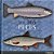 365 Peces - Imagem 1