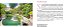 Os Mais Belos Jardins Do Mundo (Coleção - 10 Volumes) - Imagem 19