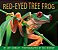 Red Eyed Tree Frog - Imagem 1