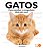 Gatos: Como Escolher O Companheiro Ideal Para Você - Imagem 1