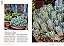 Enciclopédia De Suculentas & Cactos (Coleção - 13 Volumes) - Imagem 16