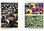 Composição E Design Na Fotografia (Coleção - 6 Volumes) - Imagem 10