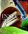Insecta - Imagem 1
