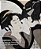 Japanese Woodcuts - Imagem 1
