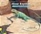 About Reptiles: A Guide For Children-.. - Imagem 1