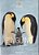 Pinguino-.. - Imagem 1