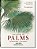 The Book Of Palms - Imagem 1