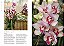 Enciclopédia Das Orquídeas (Coleção - 21 Volumes) - Imagem 9