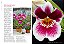 Enciclopédia Das Orquídeas (Coleção - 21 Volumes) - Imagem 15
