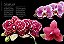 Enciclopédia Das Orquídeas (Coleção - 21 Volumes) - Imagem 19