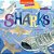 Exploring Sharks - Hello, World! Kids' Guides..- - Imagem 1