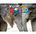 Welcome To Our World British 3 - Flashcardss Set - Second Edition..- - Imagem 1