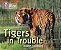Tigers In Trouble - Collins Big Cat Progress - Band 04/Blue - Band 12/Copper - Imagem 1